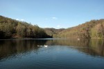 Fish Pond Lake Letcher Co.